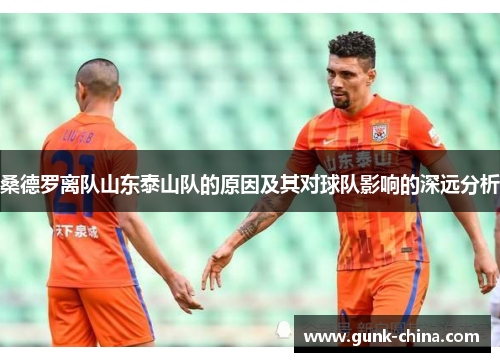桑德罗离队山东泰山队的原因及其对球队影响的深远分析