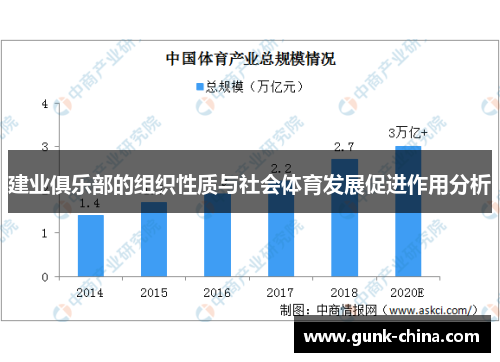 建业俱乐部的组织性质与社会体育发展促进作用分析 建业俱乐部的组织性质与社会体育发展促进作用分析