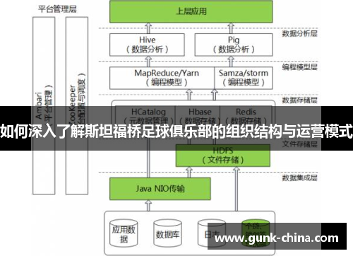 如何深入了解斯坦福桥足球俱乐部的组织结构与运营模式